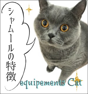 シャムールの特徴